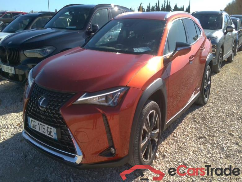 UX250H STYLE EDITION                F #1