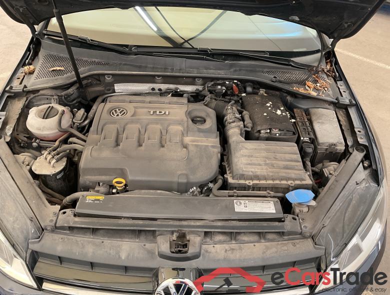 VOLKSWAGEN Golf VII Golf 1.6 CR TDi Allstar #3