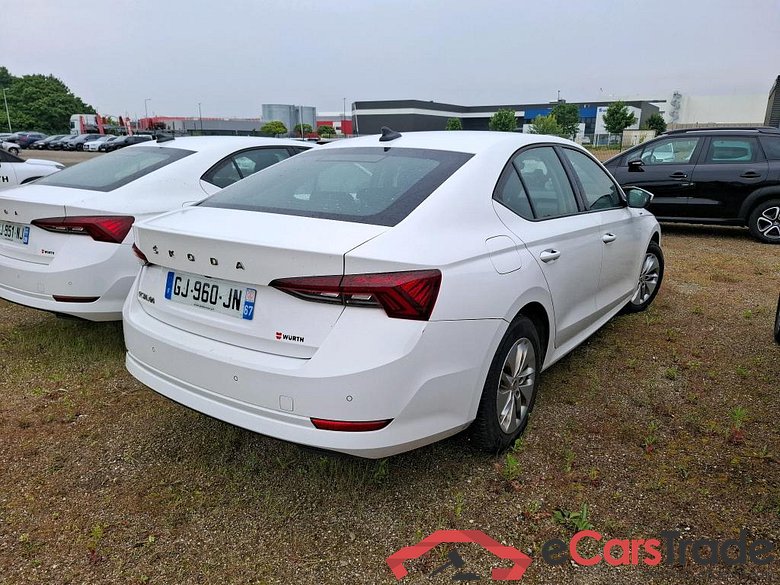 Skoda 2.0 TDI 116 BVM6 Business Octavia Berline Business 2.0 TDI 115CV BVM6 E6d #3