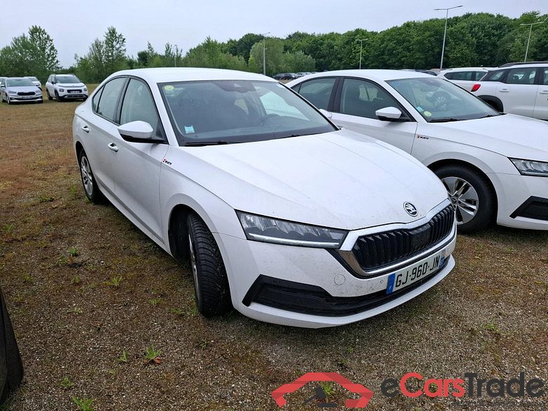 Skoda 2.0 TDI 116 BVM6 Business Octavia Berline Business 2.0 TDI 115CV BVM6 E6d #4