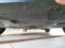 preview Hyundai Tucson #4