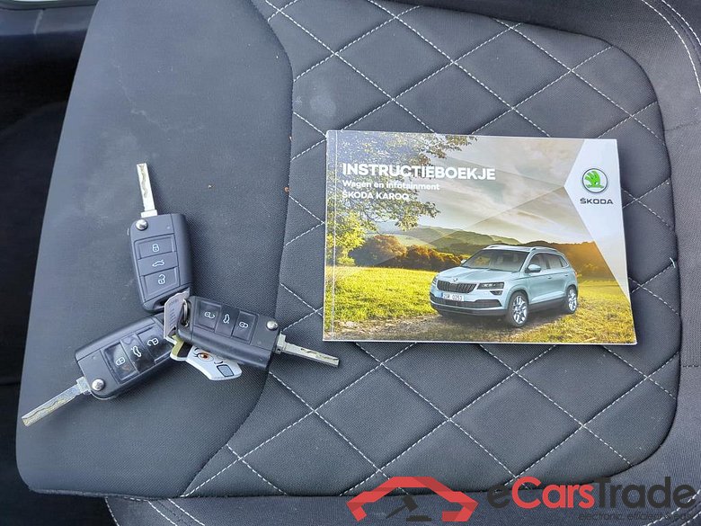 SKODA Karoq 110 kW #6