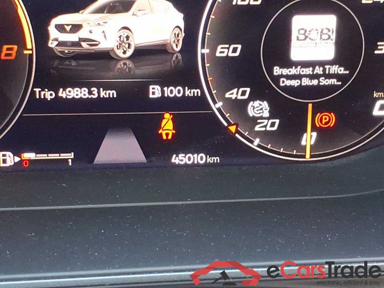 Cupra Formentor (KM7)(08.2020->) DE - SUV5 2.0 TSI EU6d, VZ 4 Drive, 2020 - 2024 #6