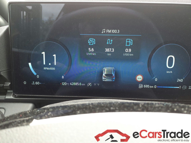 FORD PUMA FORD PUMA 1.0 EcoBoost 5 Portes St Line 1.0 EcoBoost Hybrid 125 (mHEV) BVM6 + winter pack #6
