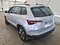 preview Skoda Karoq #1