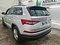 preview Skoda Kodiaq #1