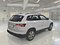 preview Skoda Karoq #1