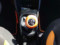 preview Toyota Aygo #4