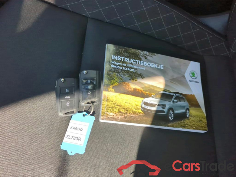 SKODA Karoq 85 kW #6