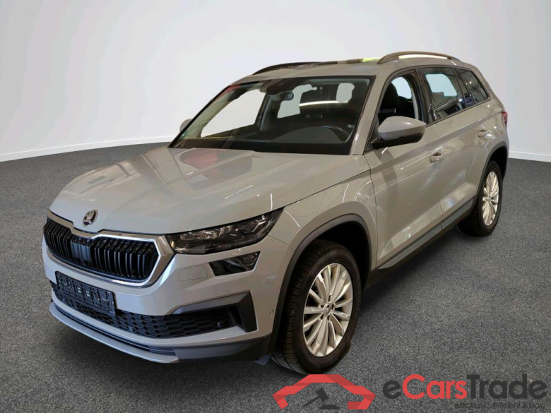 Kodiaq Tour 2.0 TDI 110KW AT7 E6d #1