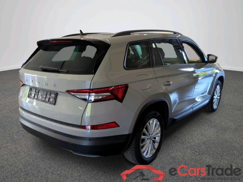 Kodiaq Tour 2.0 TDI 110KW AT7 E6d #2