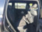 preview Mercedes GLB 200 #5
