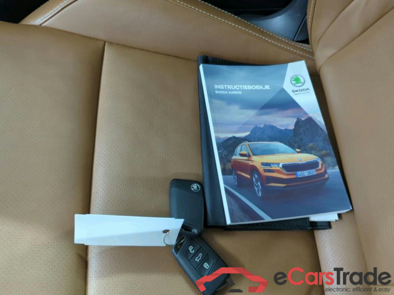 SKODA Karoq 110 kW #6