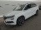 preview Skoda Karoq #0