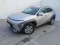 preview Hyundai Kona #0