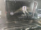 preview Citroen C3 #4