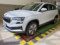 preview Skoda Karoq #0