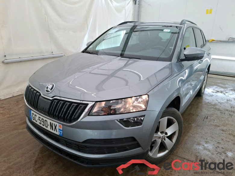 Karoq Business 2.0 TDI 115CV BVA7 E6d #1